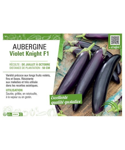 AUBERGINE VIOLET KNIGHT F1