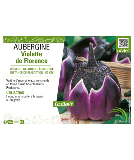AUBERGINE VIOLETTE DE FLORENCE