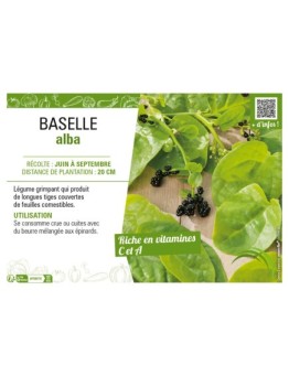 BASELLE ALBA