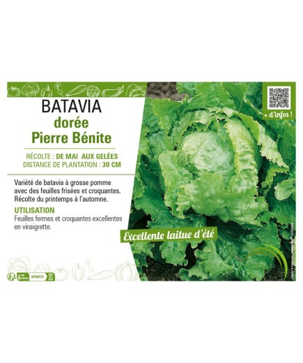 BATAVIA DORÉE PIERRE BÉNITE