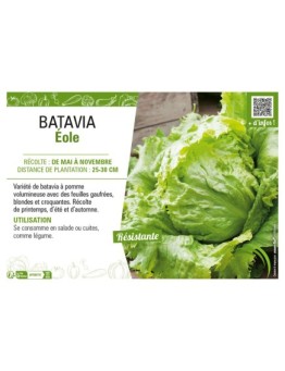 BATAVIA ÉOLE