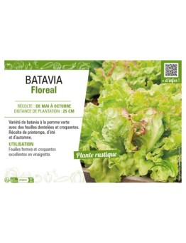BATAVIA FLOREAL