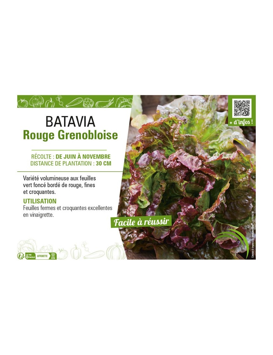 BATAVIA ROUGE GRENOBLOISE