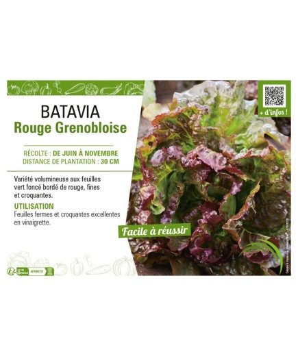 BATAVIA ROUGE GRENOBLOISE