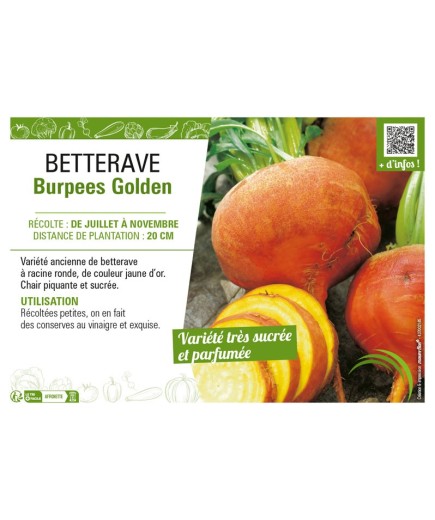 BETTERAVE BURPEES GOLDEN