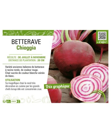 BETTERAVE CHIOGGIA