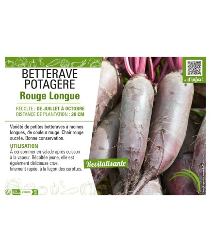 BETTERAVE POTAGÈRE ROUGE LONGUE