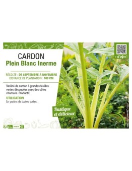 CARDON PLEIN BLANC INERME