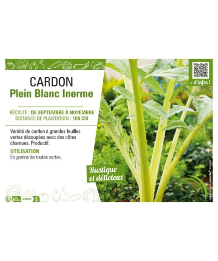 CARDON PLEIN BLANC INERME