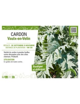 CARDON VAULX-EN-VELIN