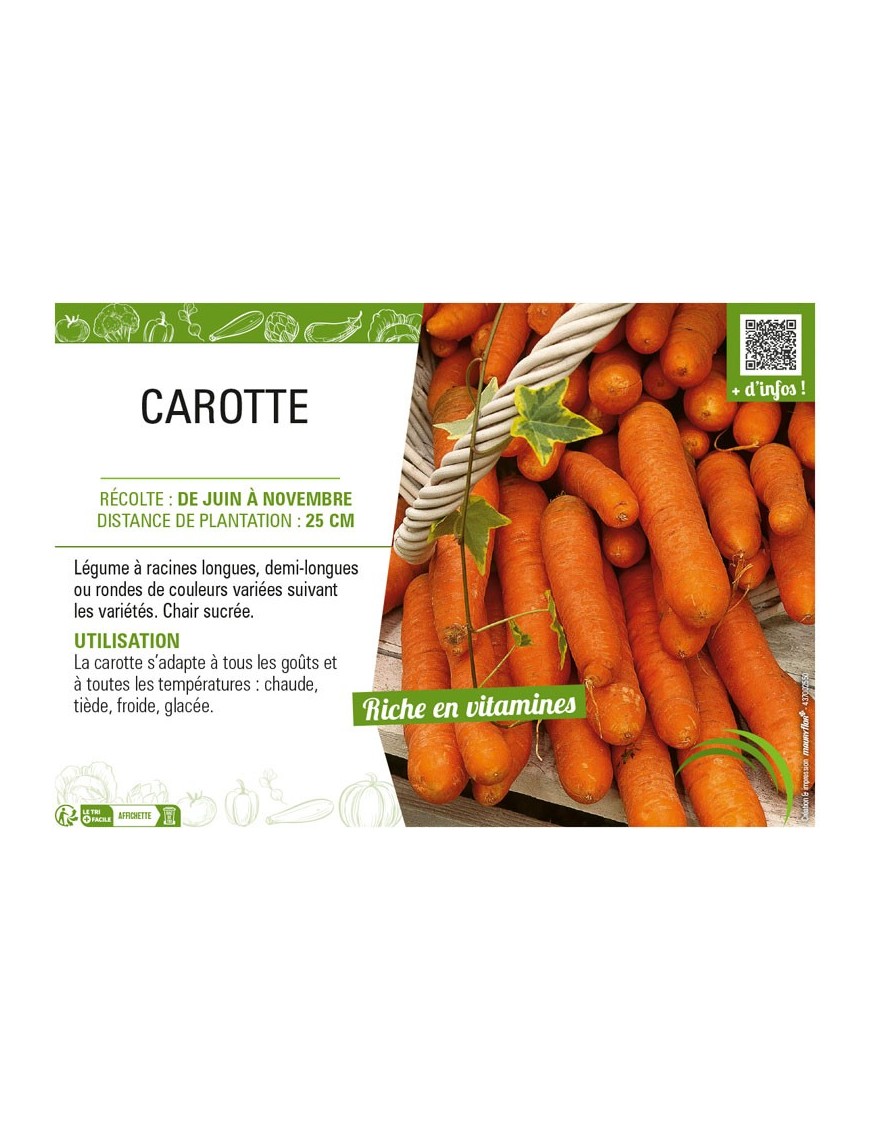 CAROTTE