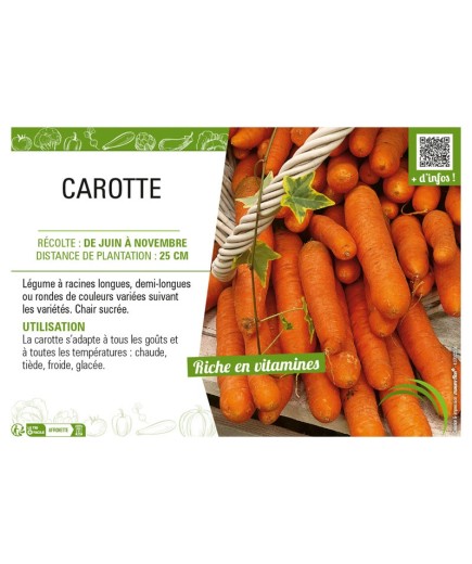 CAROTTE