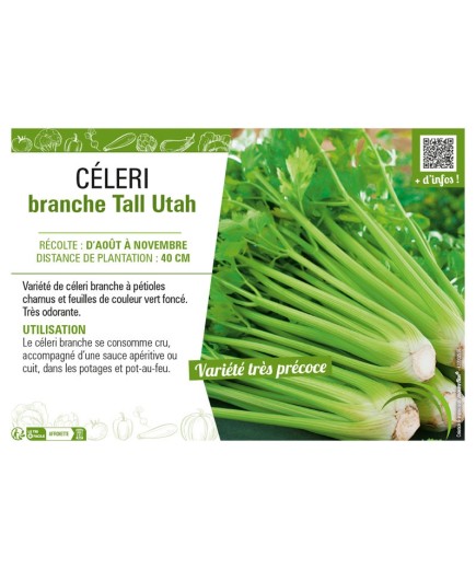 CÉLERI BRANCHE TALL UTAH