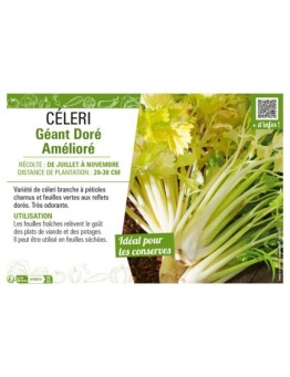 CÉLERI GÉANT DORÉ AMÉLIORÉ