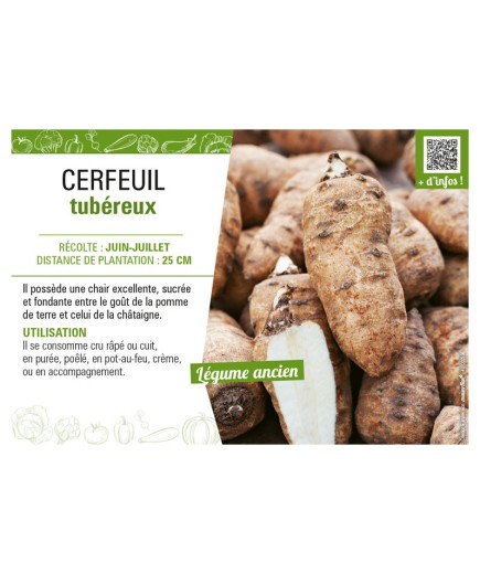 CERFEUIL TUBÉREUX