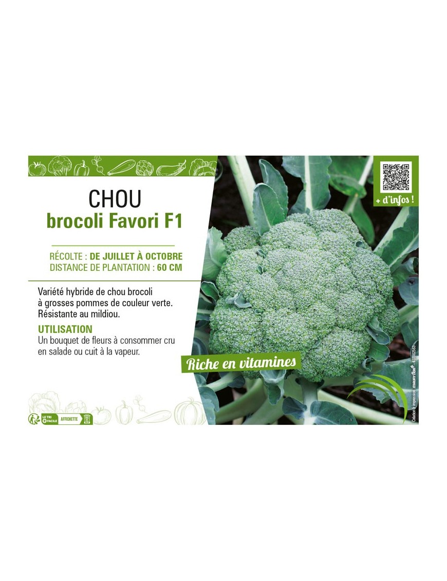 CHOU BROCOLI FAVORI F1