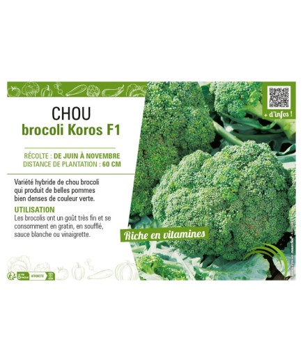 CHOU BROCOLI KOROS F1