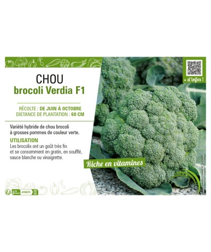 CHOU BROCOLI VERDIA F1