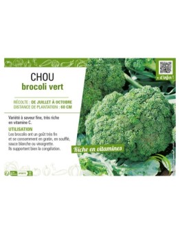 CHOU BROCOLI VERT