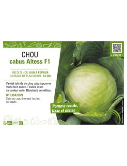 CHOU CABUS ALTESS F1