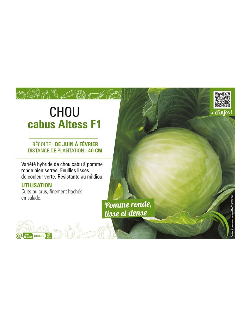 CHOU CABUS ALTESS F1