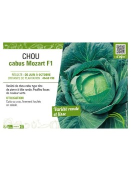 CHOU CABUS MOZART F1