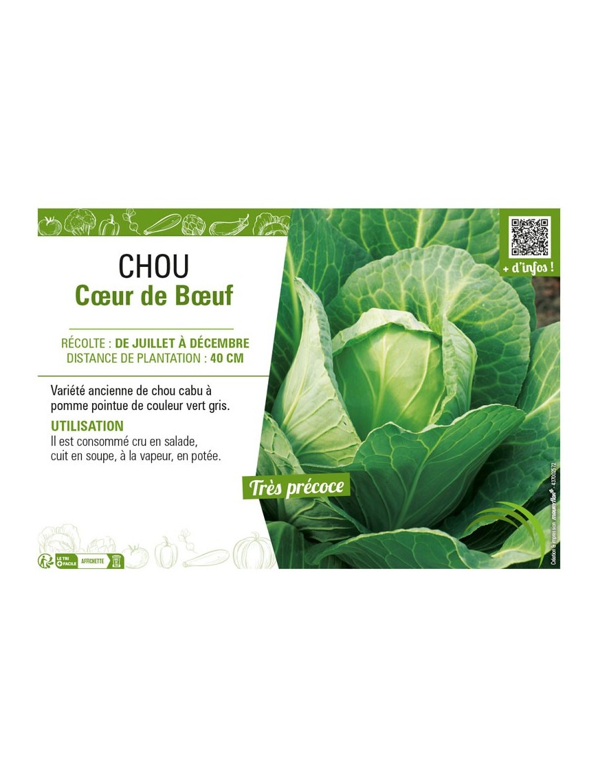 CHOU CŒUR DE BŒUF
