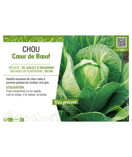 CHOU CŒUR DE BŒUF