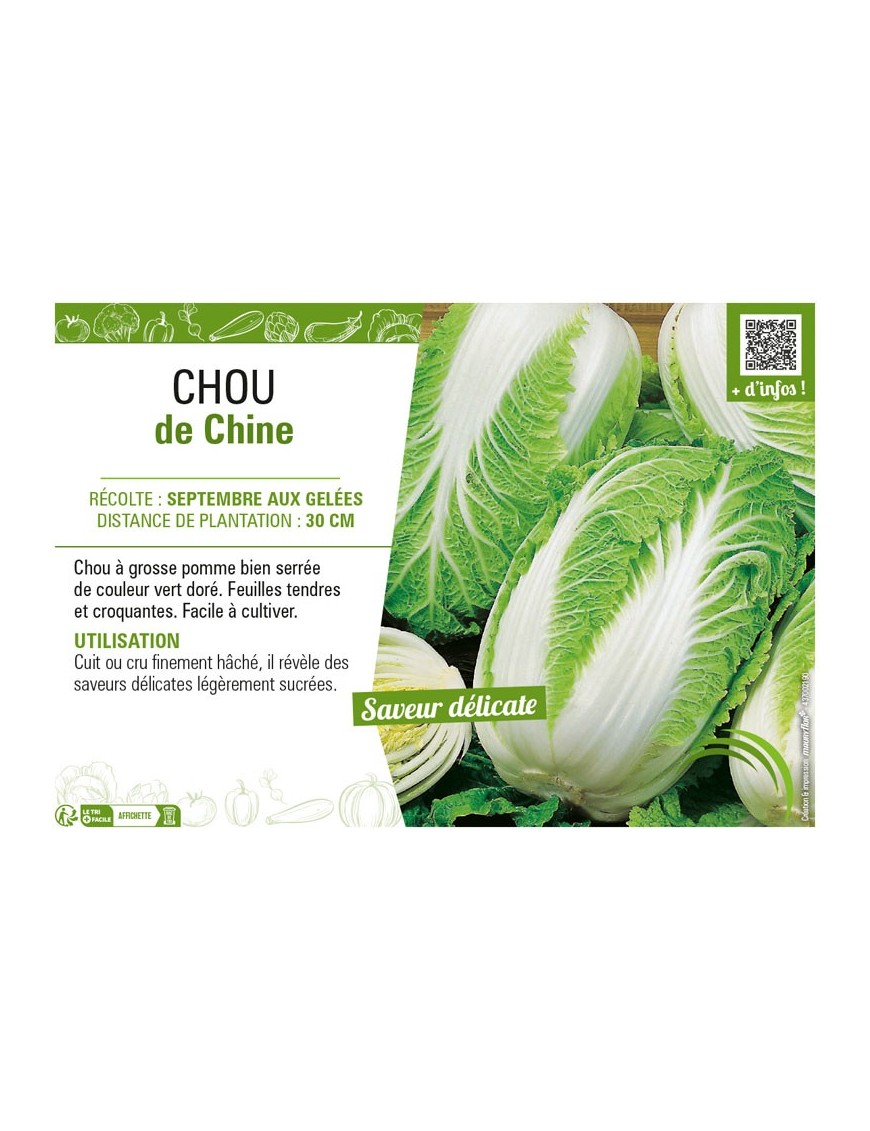 CHOU DE CHINE
