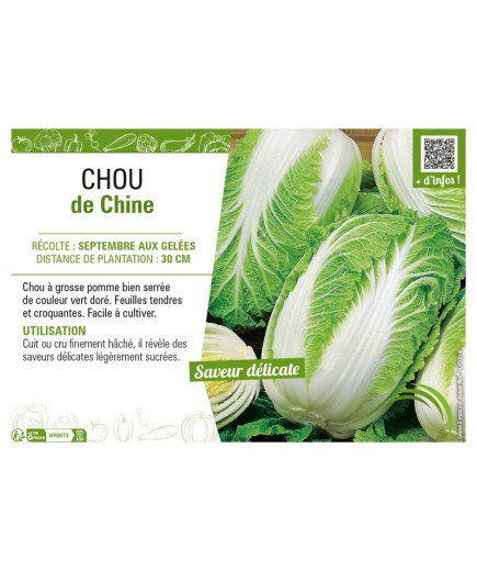 CHOU DE CHINE