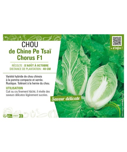 CHOU DE CHINE PE-TSAI CHORUS F1