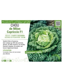 CHOU DE MILAN CAPRICCIO F1