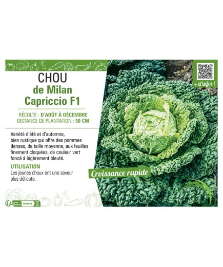 CHOU DE MILAN CAPRICCIO F1