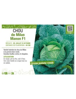 CHOU DE MILAN MANON F1