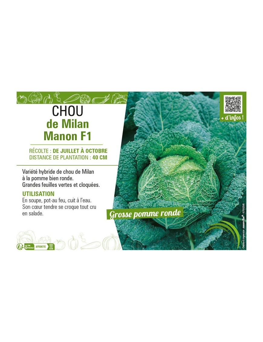 CHOU DE MILAN MANON F1