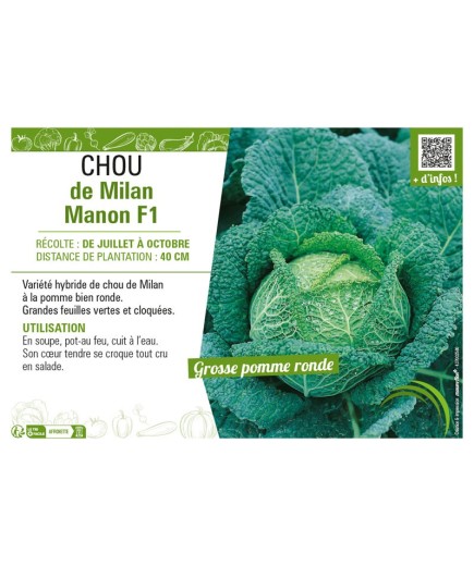 CHOU DE MILAN MANON F1