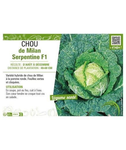 CHOU DE MILAN SERPENTINE F1