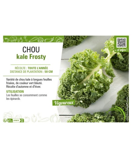 CHOU KALE FROSTY