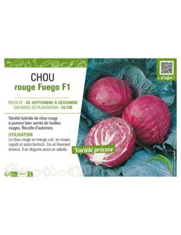 CHOU ROUGE FUEGO F1