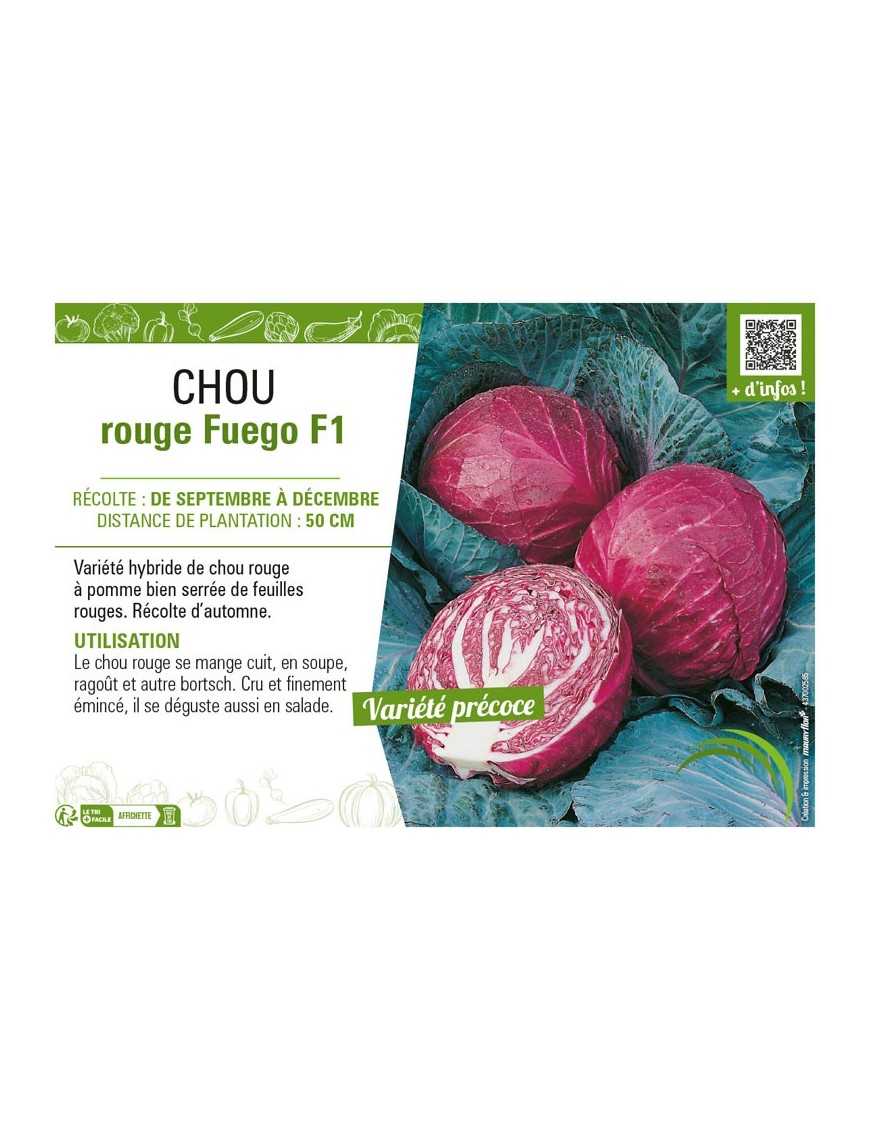 CHOU ROUGE FUEGO F1