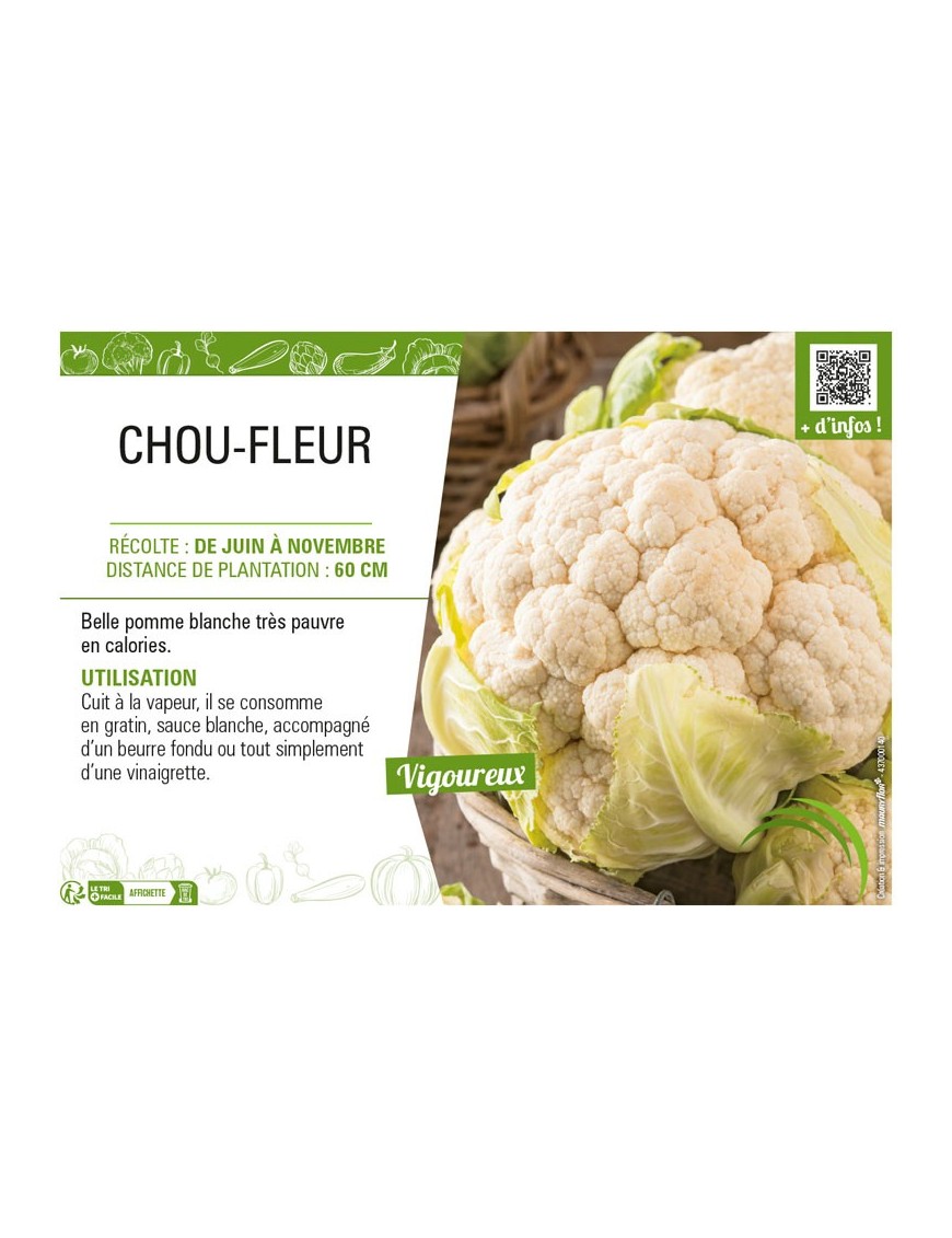 CHOU-FLEUR