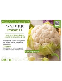 CHOU-FLEUR FREEDOM F1
