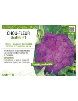 CHOU-FLEUR GRAFFITI F1