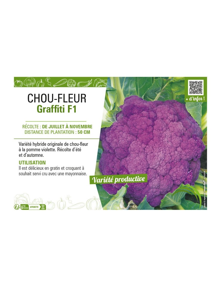 CHOU-FLEUR GRAFFITI F1