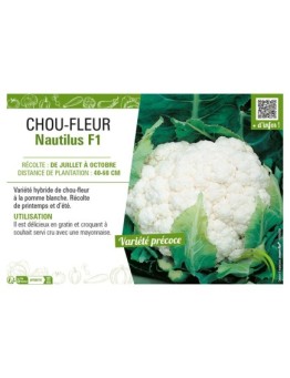 CHOU-FLEUR NAUTILUS F1