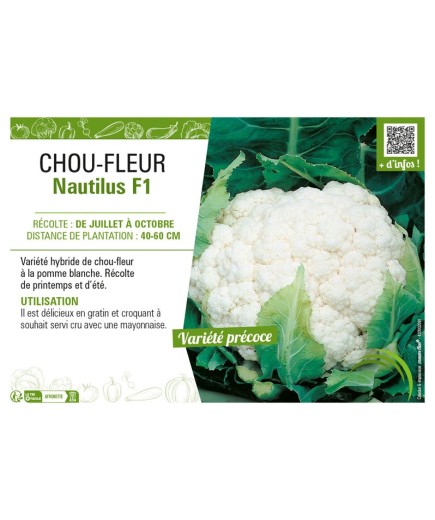 CHOU-FLEUR NAUTILUS F1