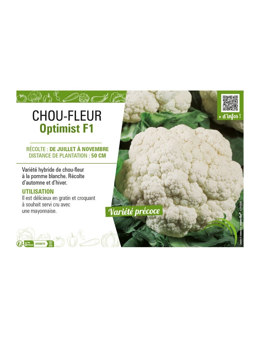 CHOU-FLEUR OPTIMIST F1