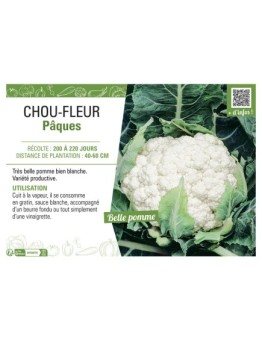CHOU-FLEUR Pâques