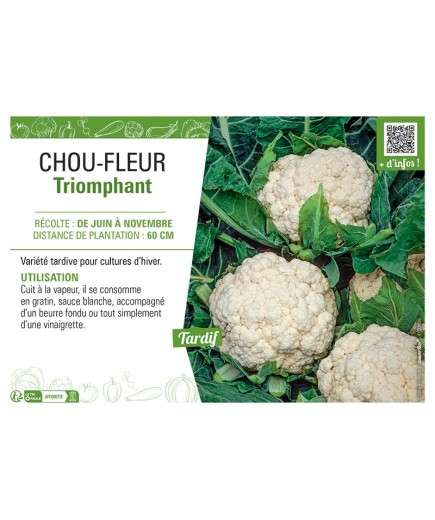 CHOU-FLEUR TRIOMPHANT