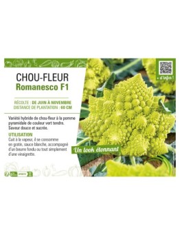 CHOU-FLEUR ROMANESCO F1